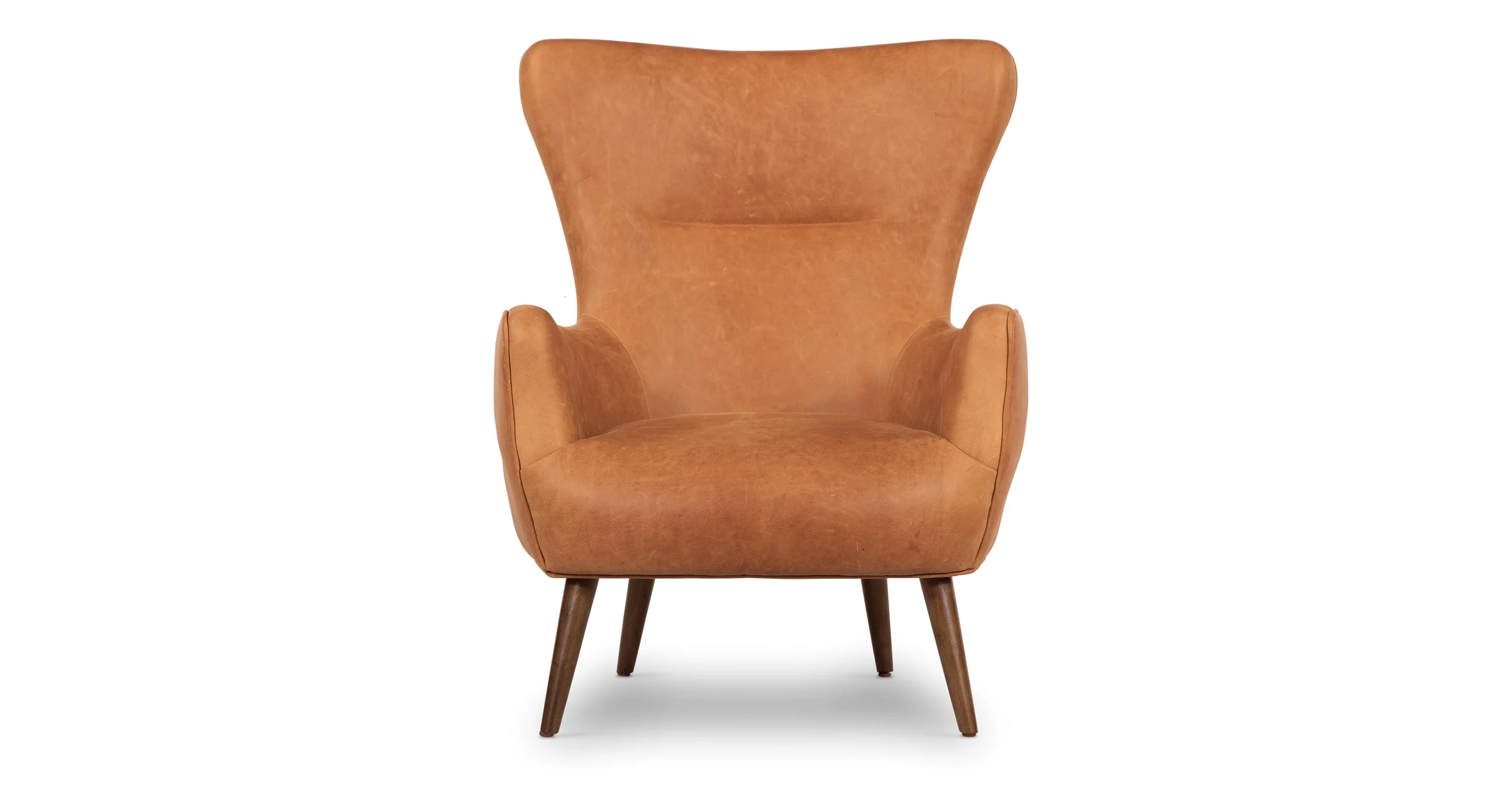 Aida Lounge Chair - Image 20