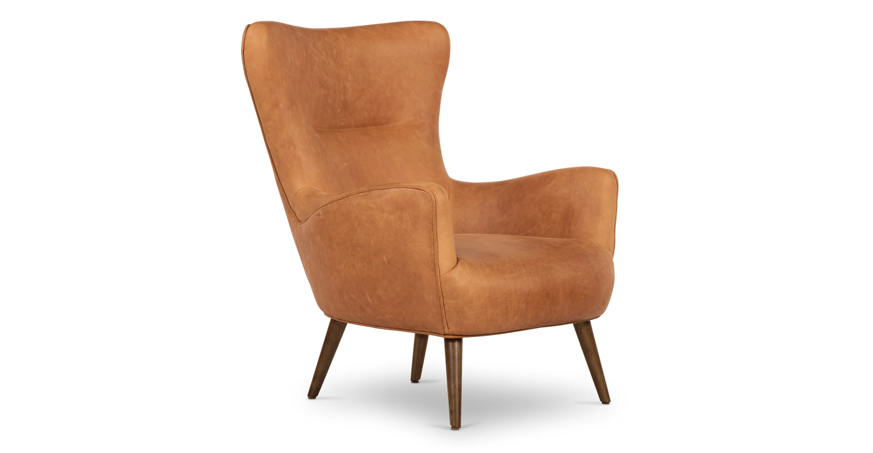 Aida Lounge Chair - Image 21
