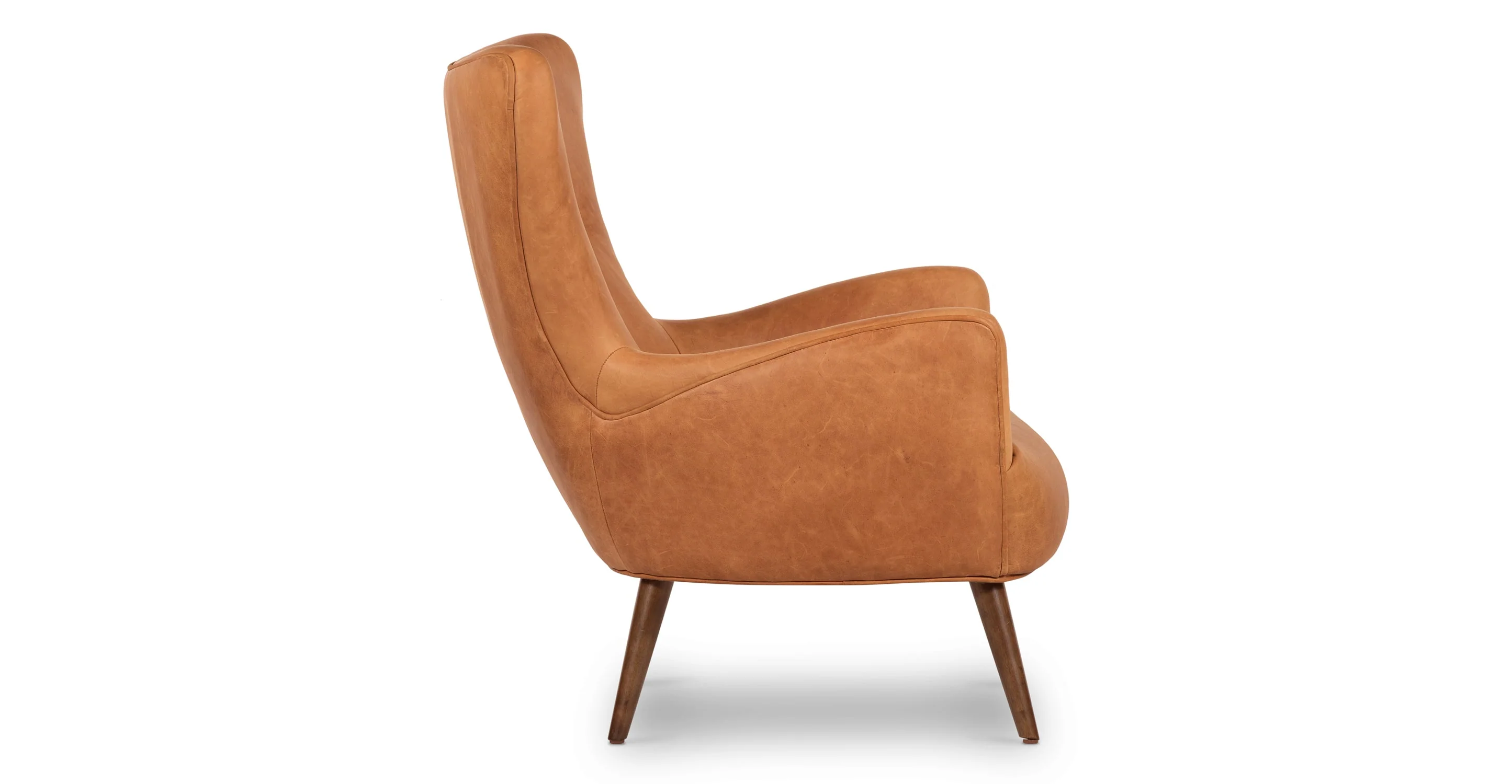 Aida Lounge Chair - Image 22