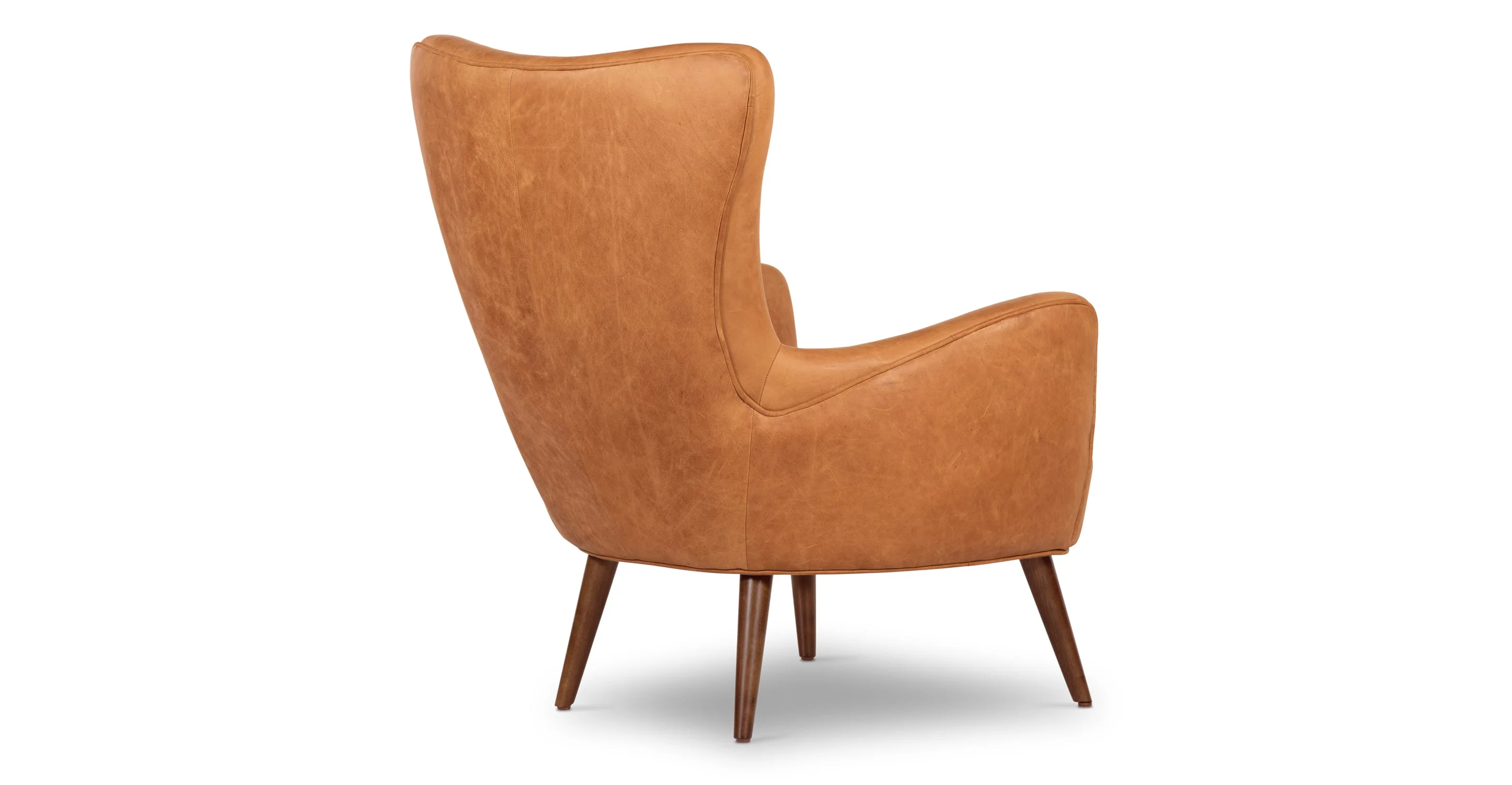 Aida Lounge Chair - Image 23