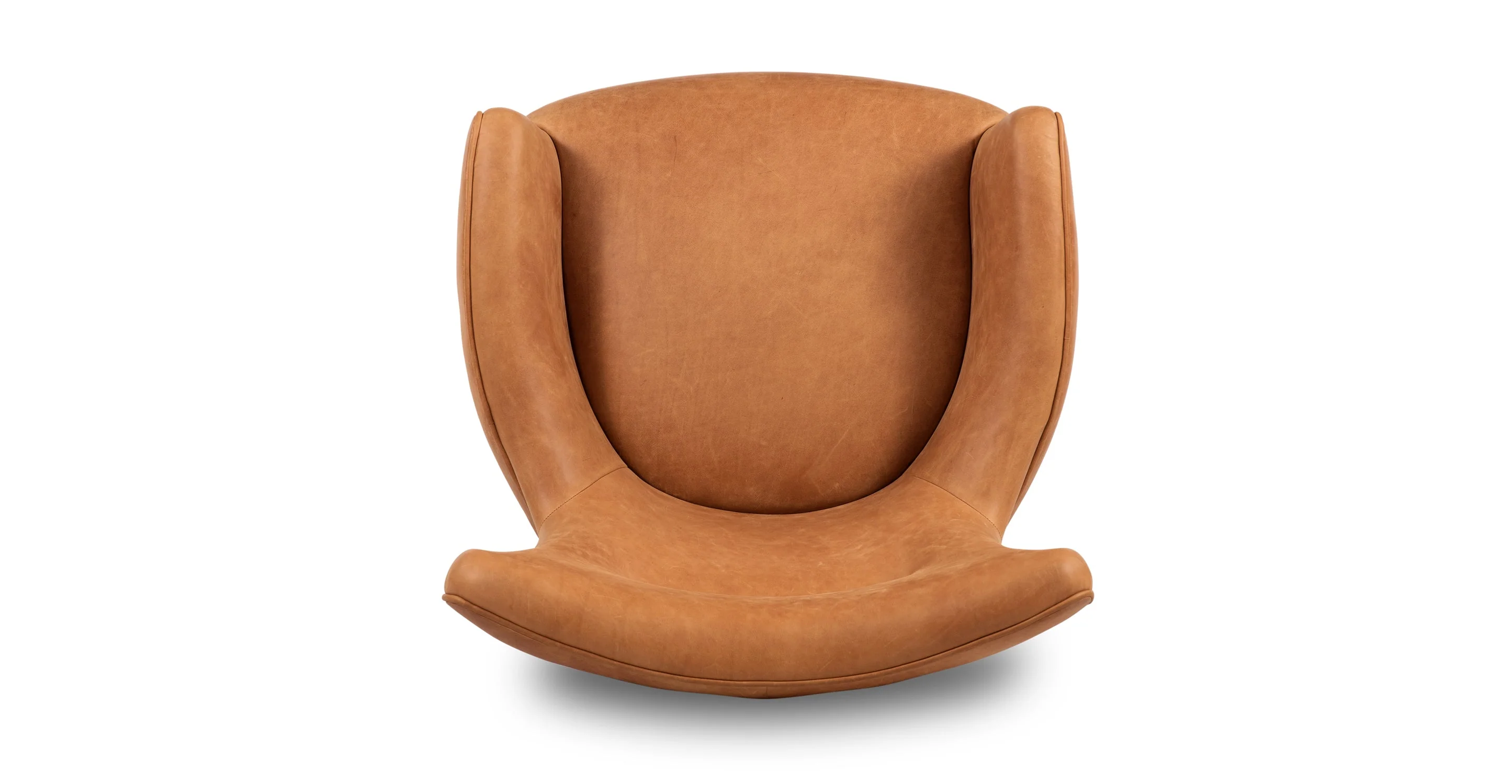 Aida Lounge Chair - Image 25