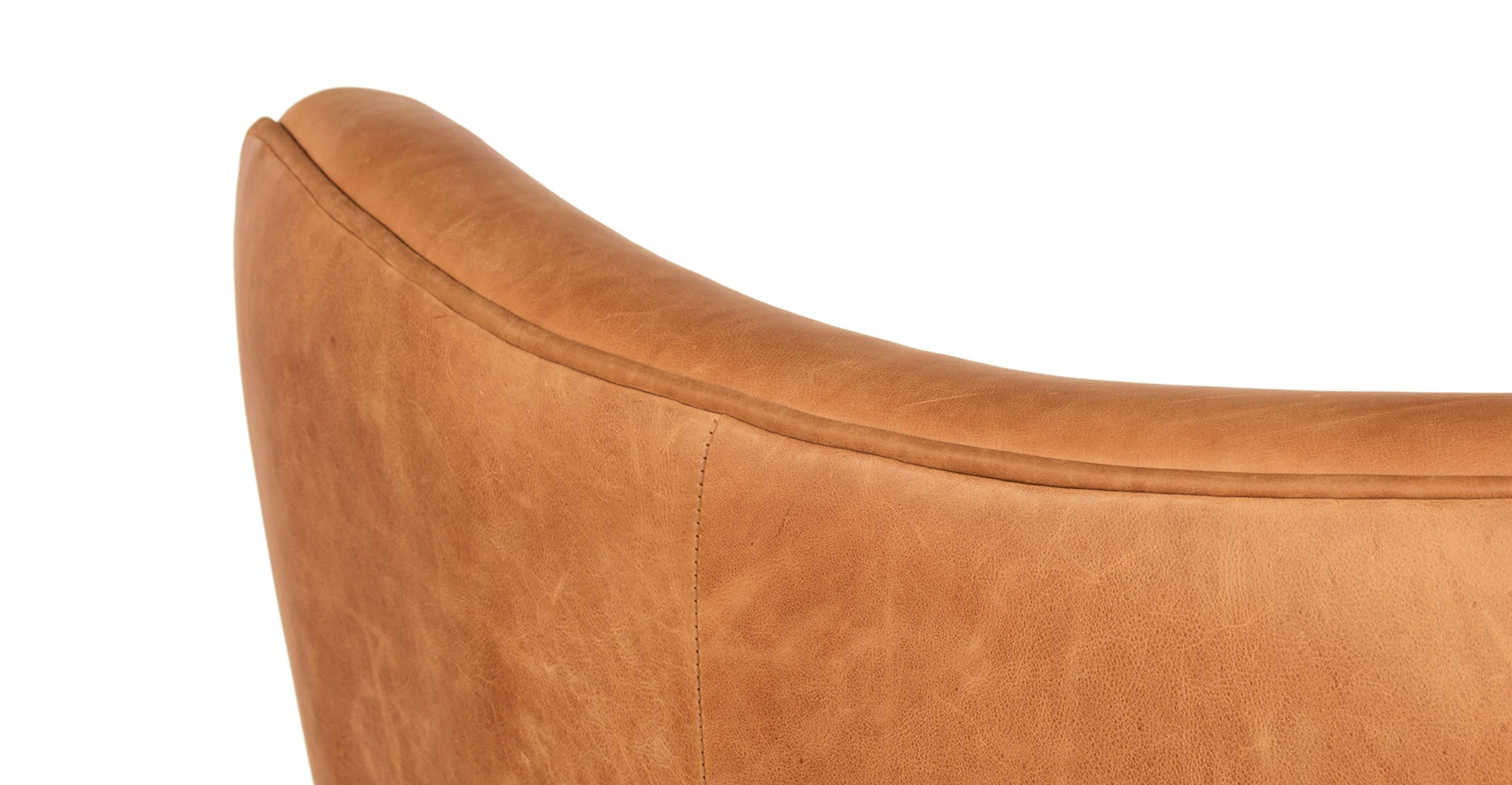 Aida Lounge Chair - Image 27