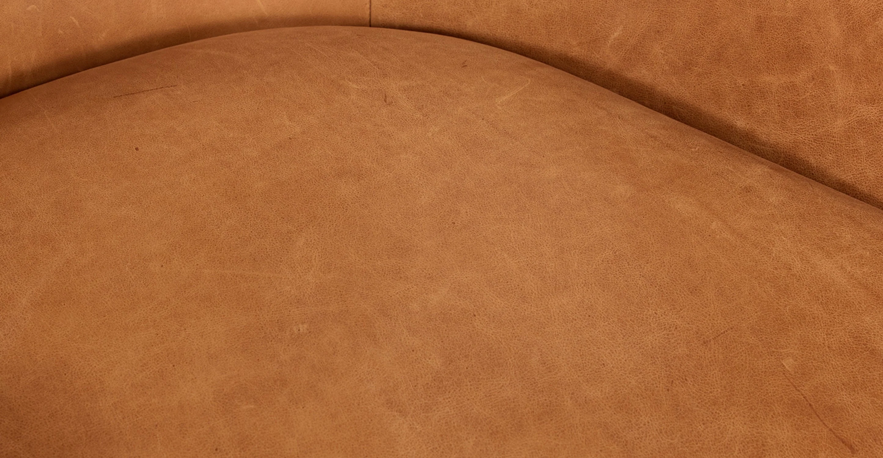 Aida Lounge Chair - Image 29