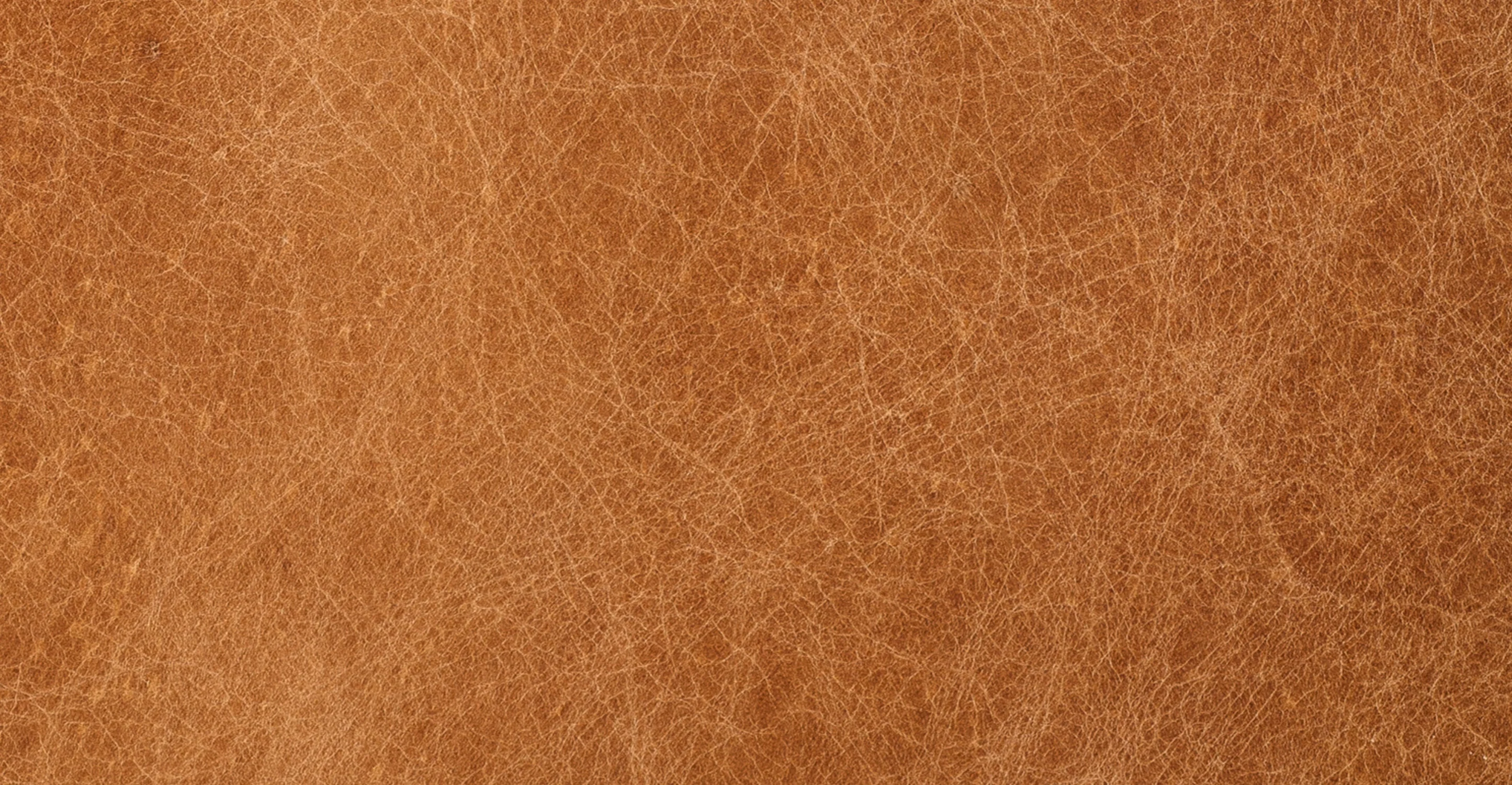 Aida Lounge Chair - Image 31
