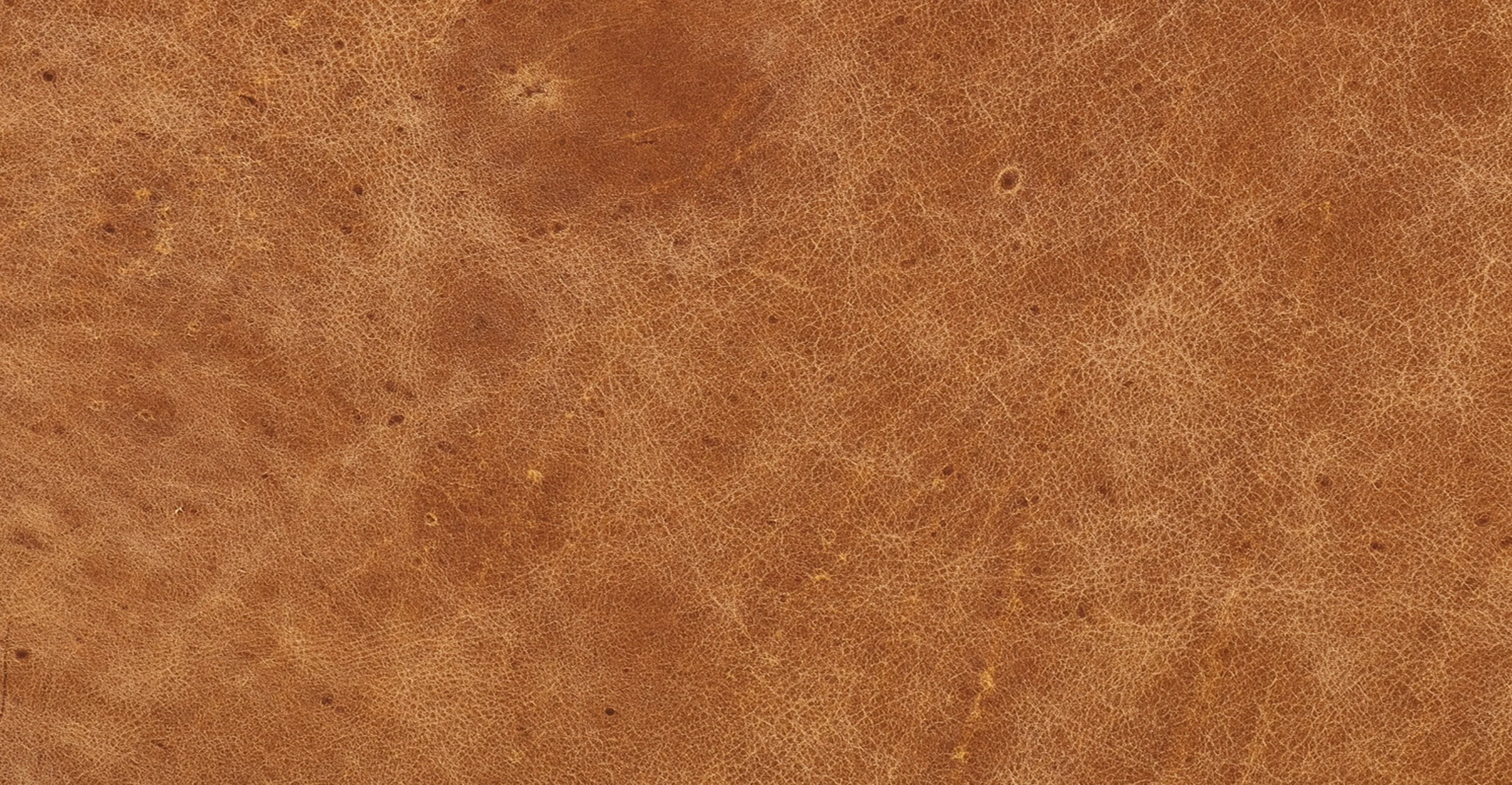 Aida Lounge Chair - Image 33