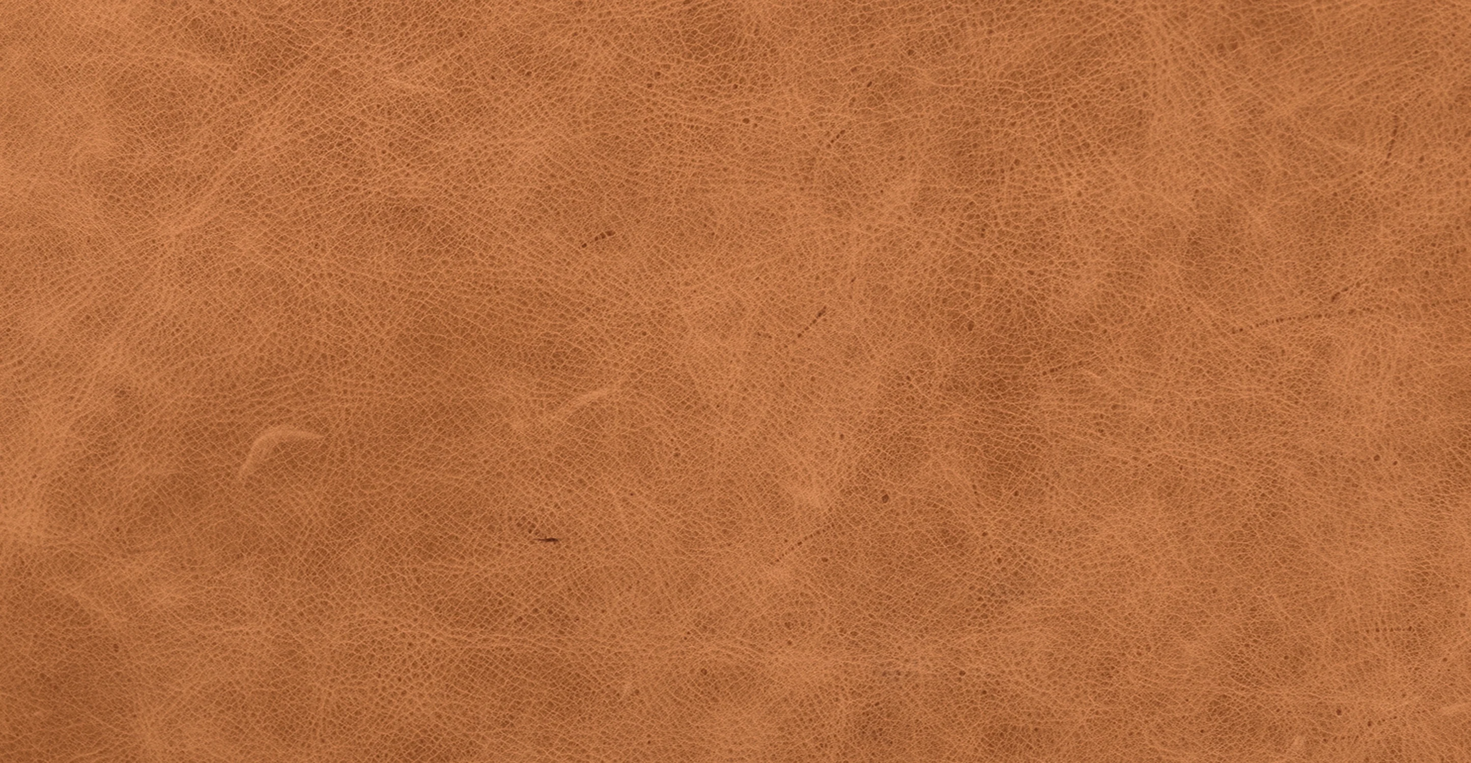 Bo Lounge Chair - Image 15