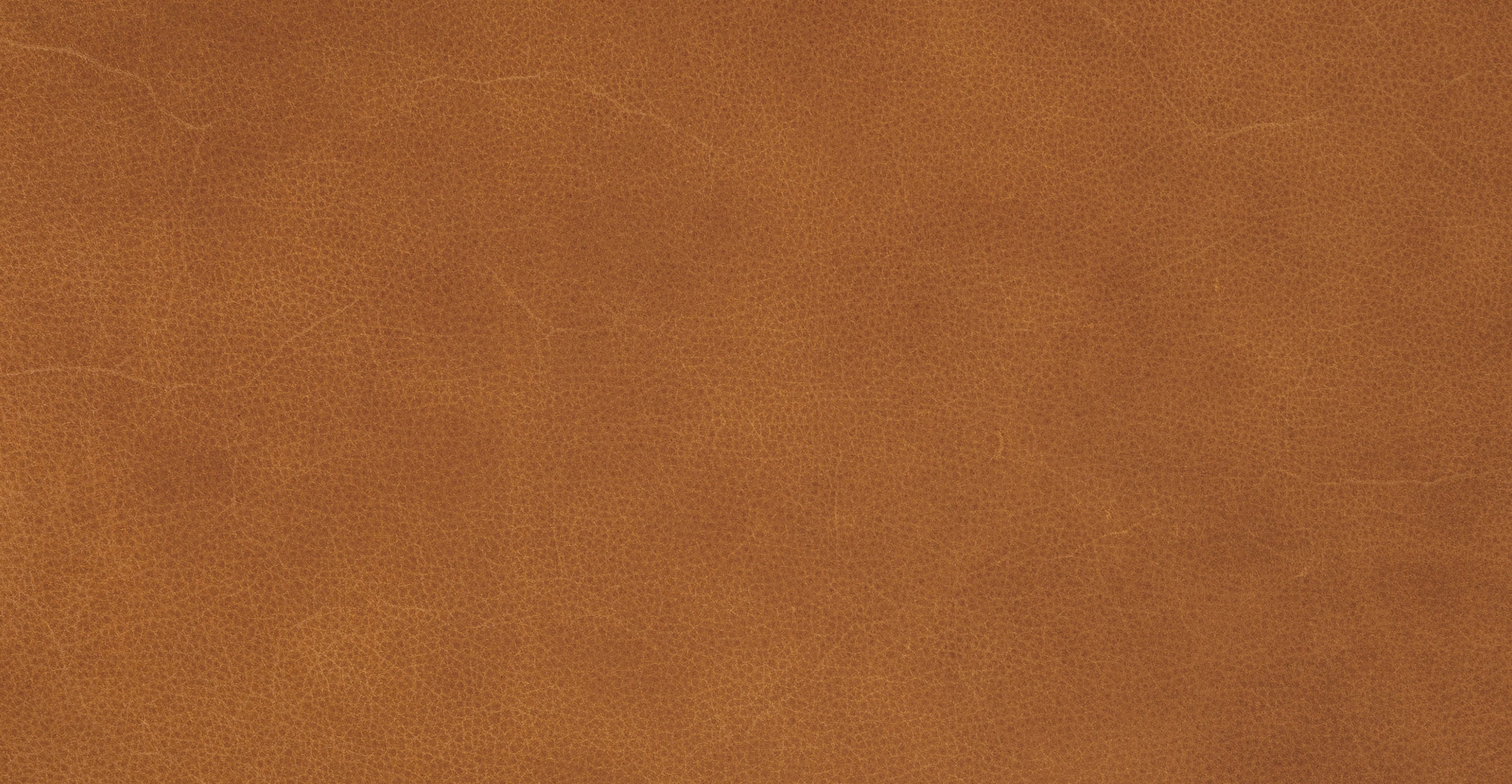Bosco Leather Lounge Chair - Image 12
