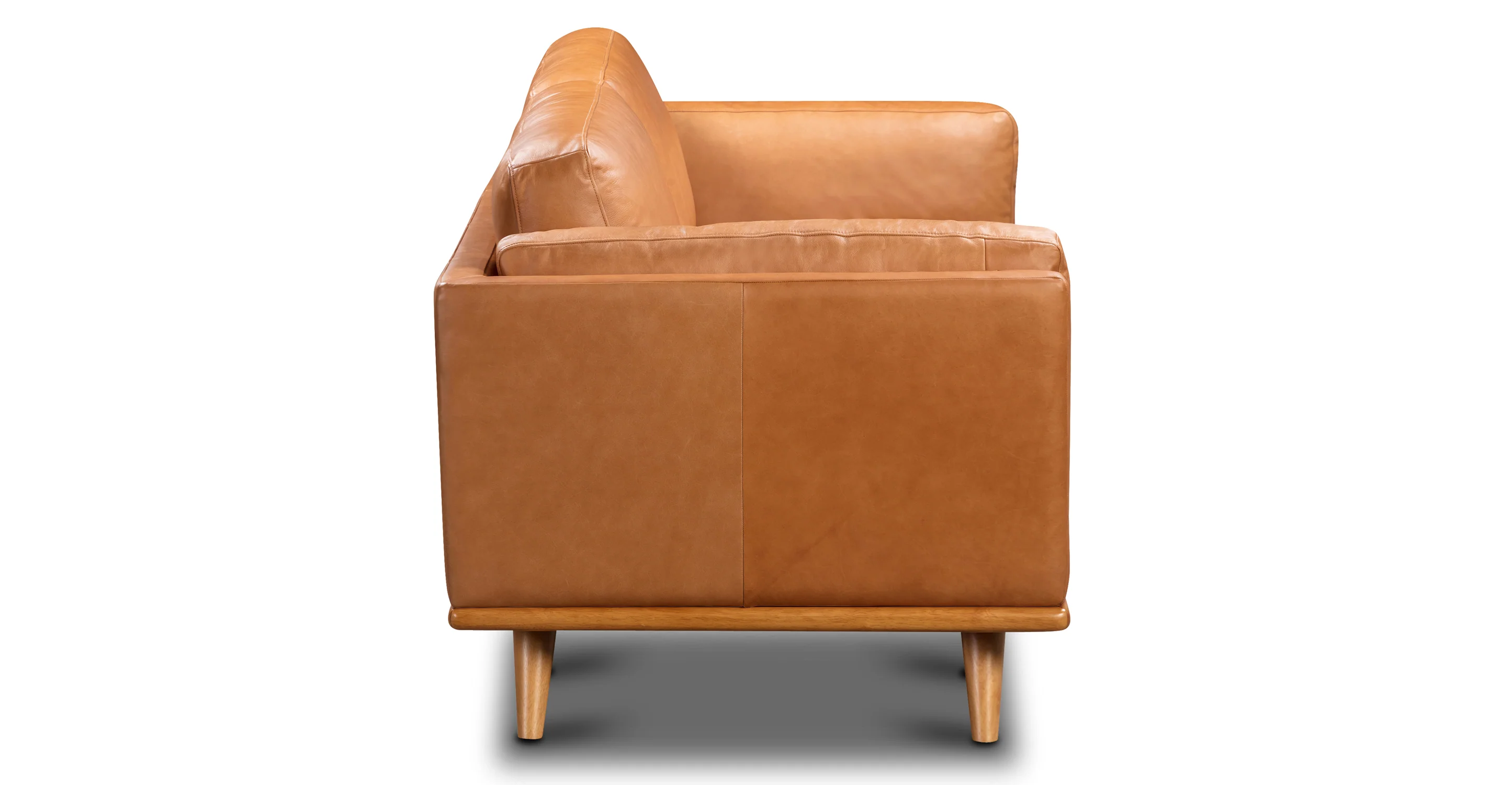Cadiz 75" Apartment Sofa - Image 4