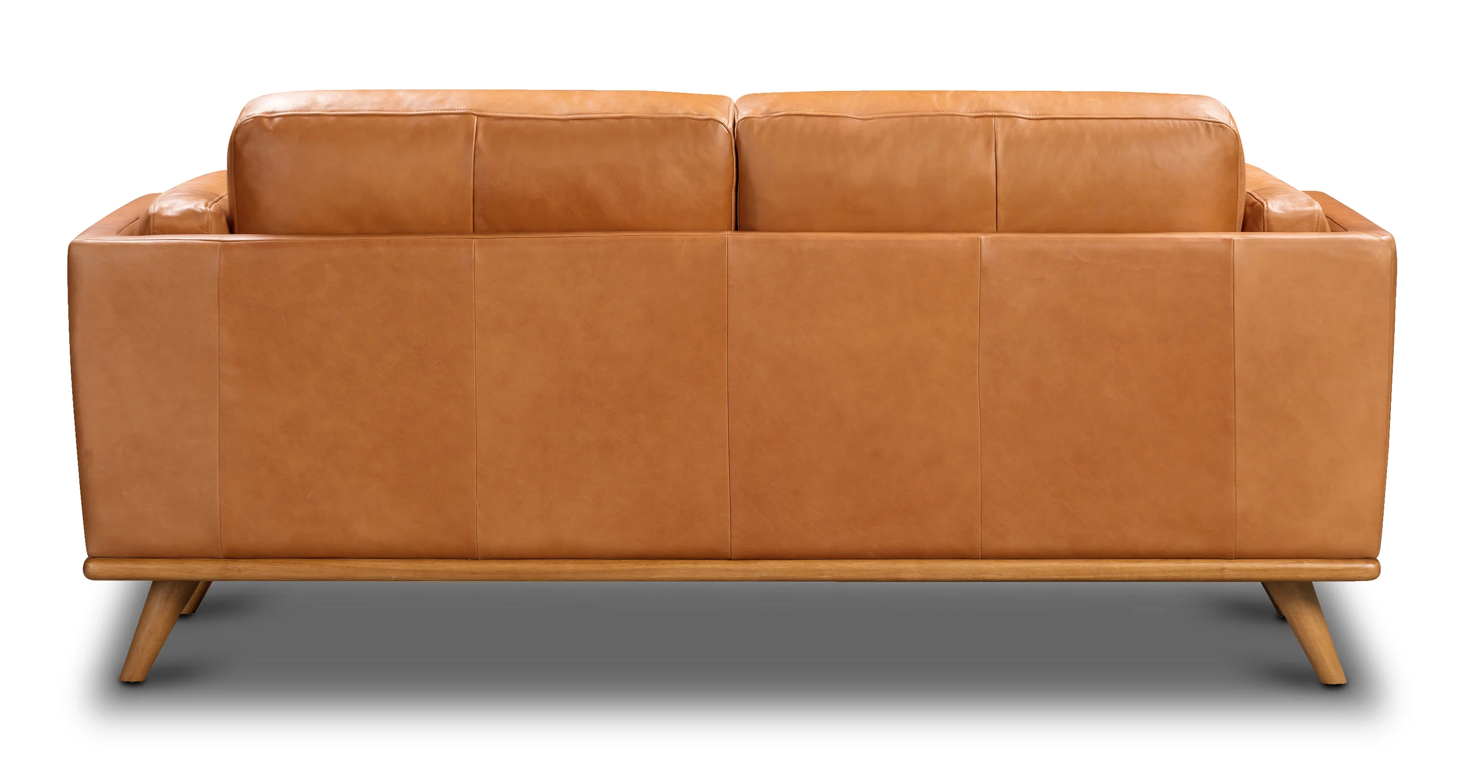 Cadiz 75" Apartment Sofa - Image 5