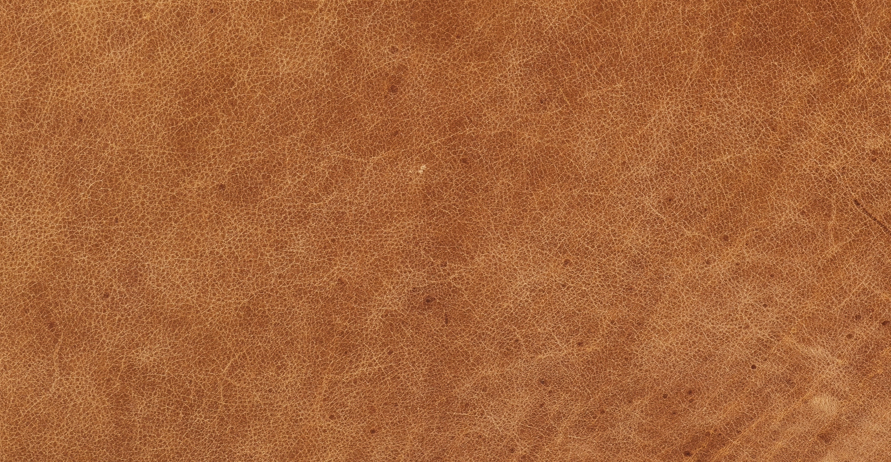 Canale Sofa - Image 20
