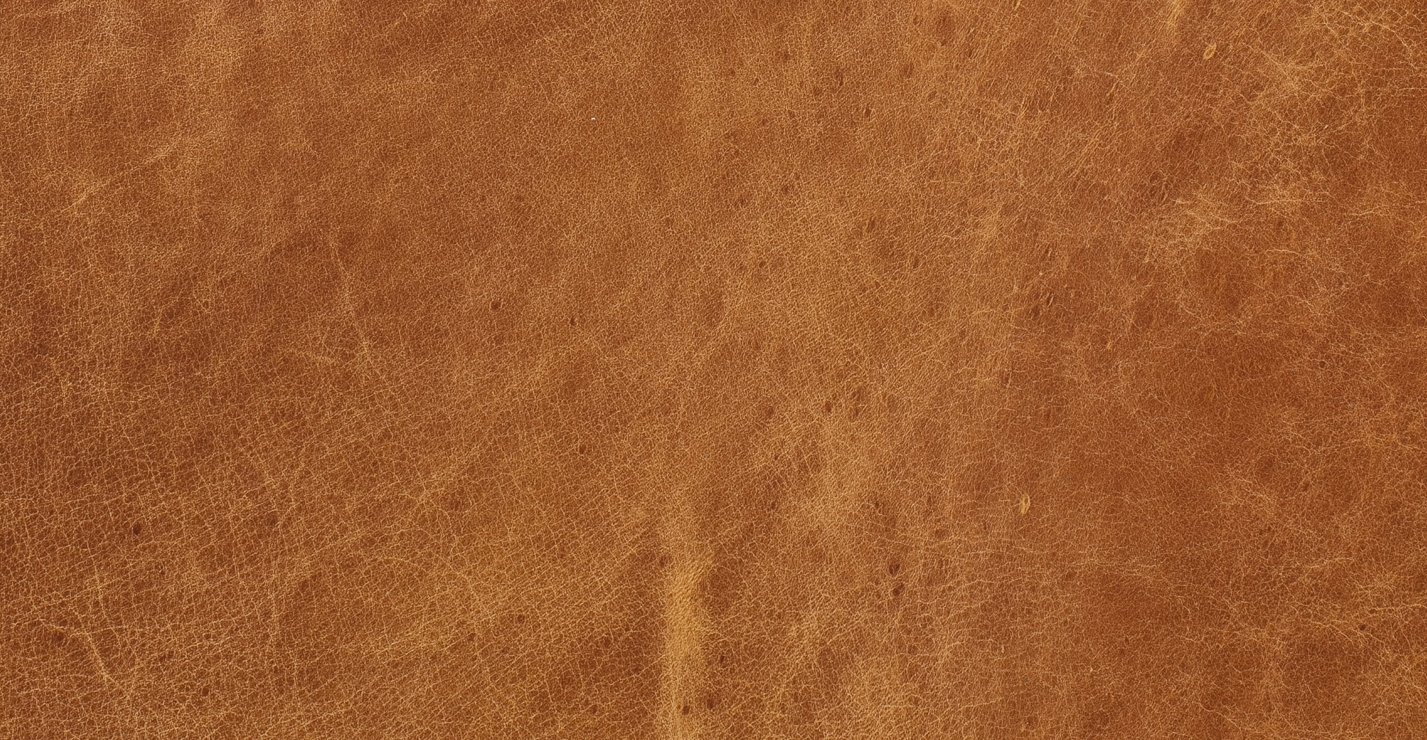 Essex Lounge Chair - Image 15
