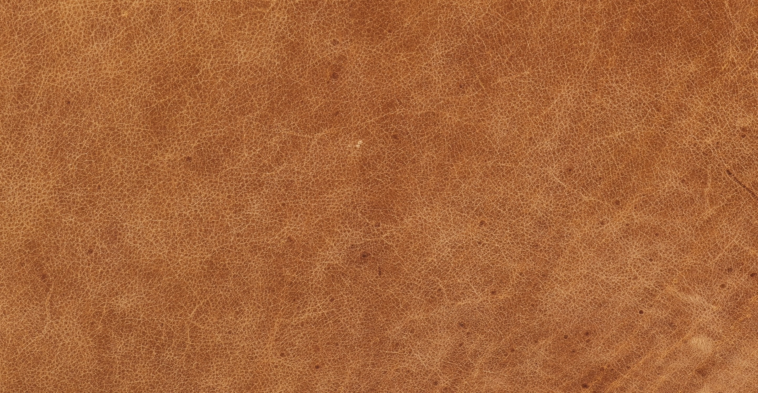 Essex Lounge Chair - Image 17