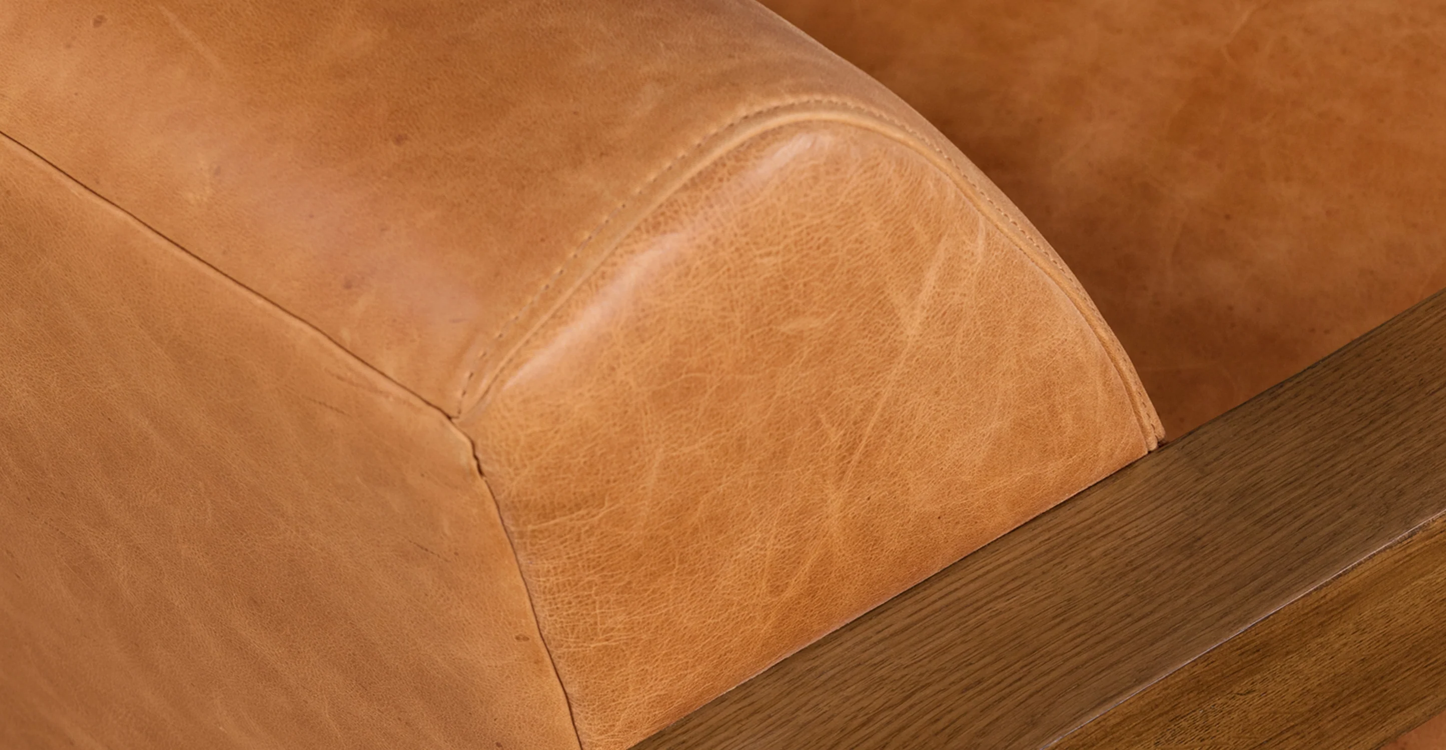 Giza Lounge Chair - Image 33