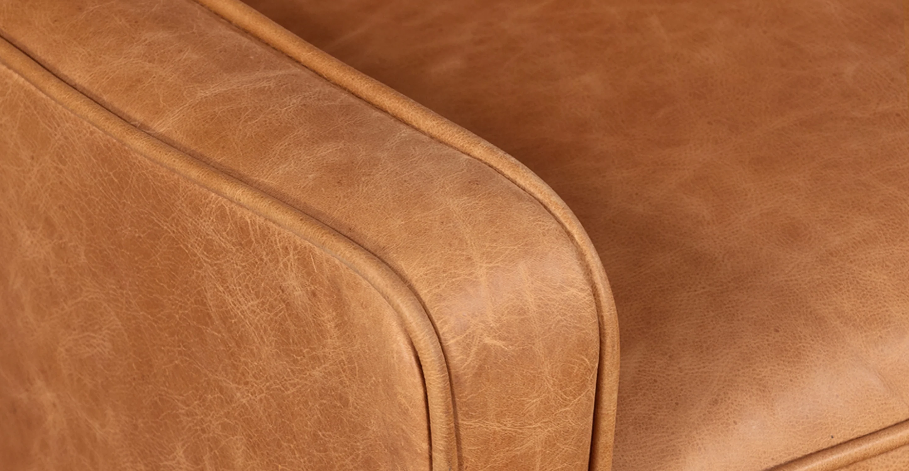 Gus Lounge Chair - Image 11