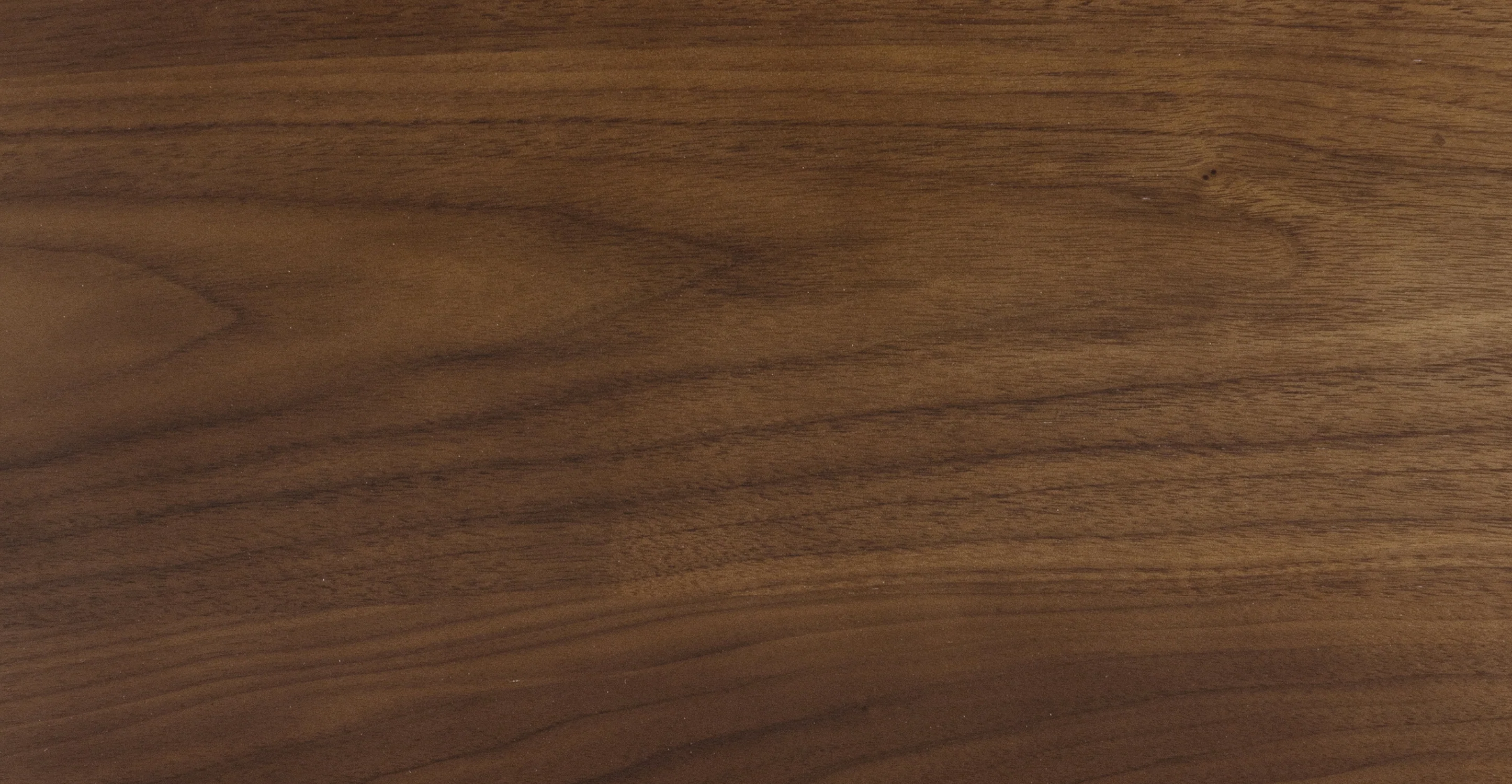 Ligna Dining Chair - Image 14