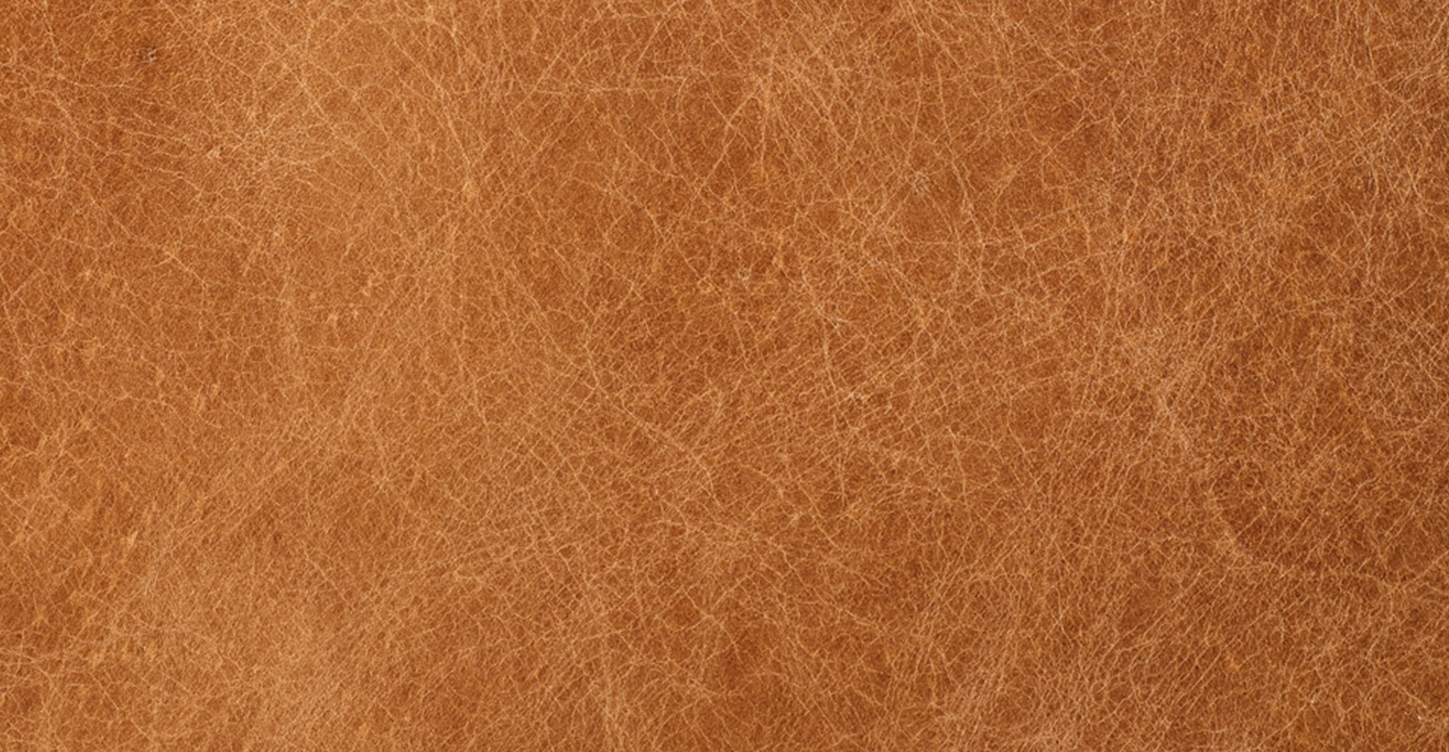 Luca Leather Bench - Image 13