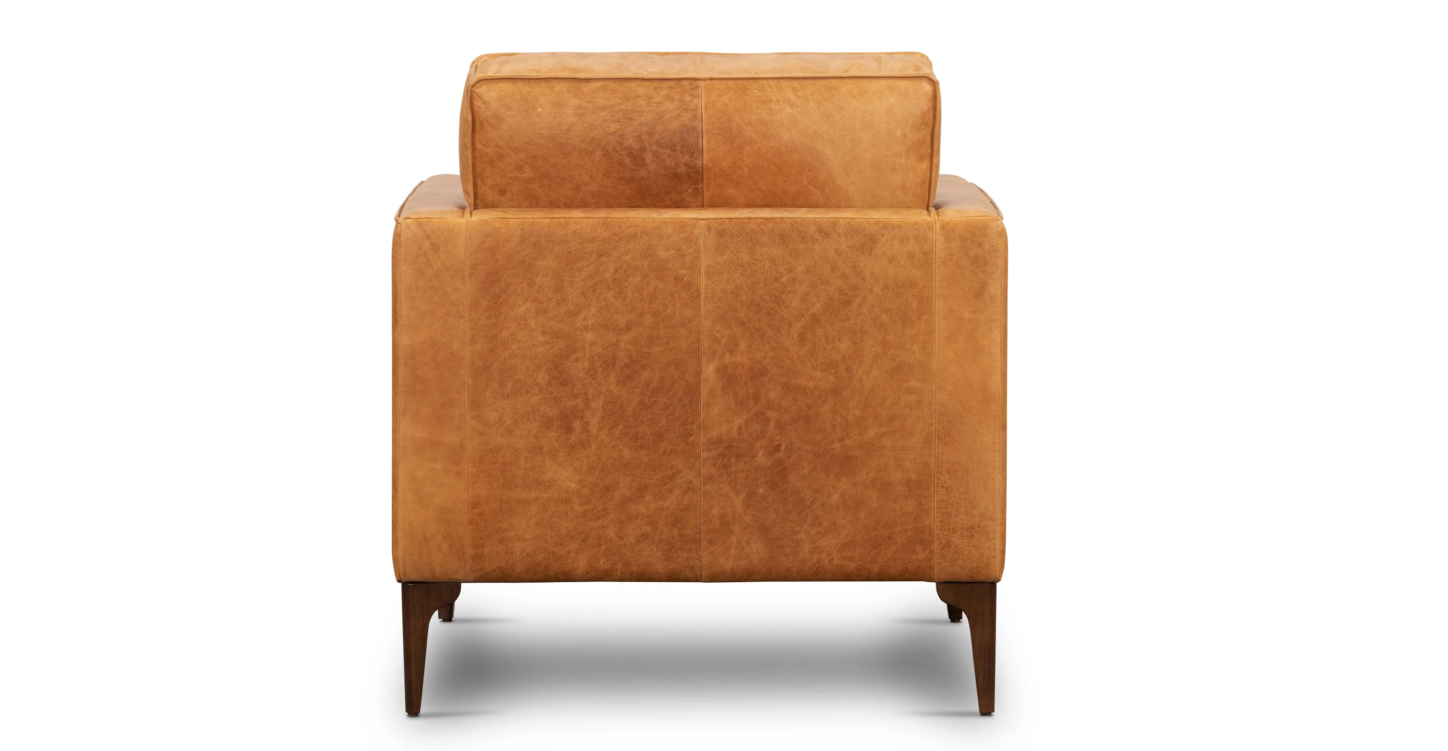 Mateo Leather Lounge Chair - Image 5