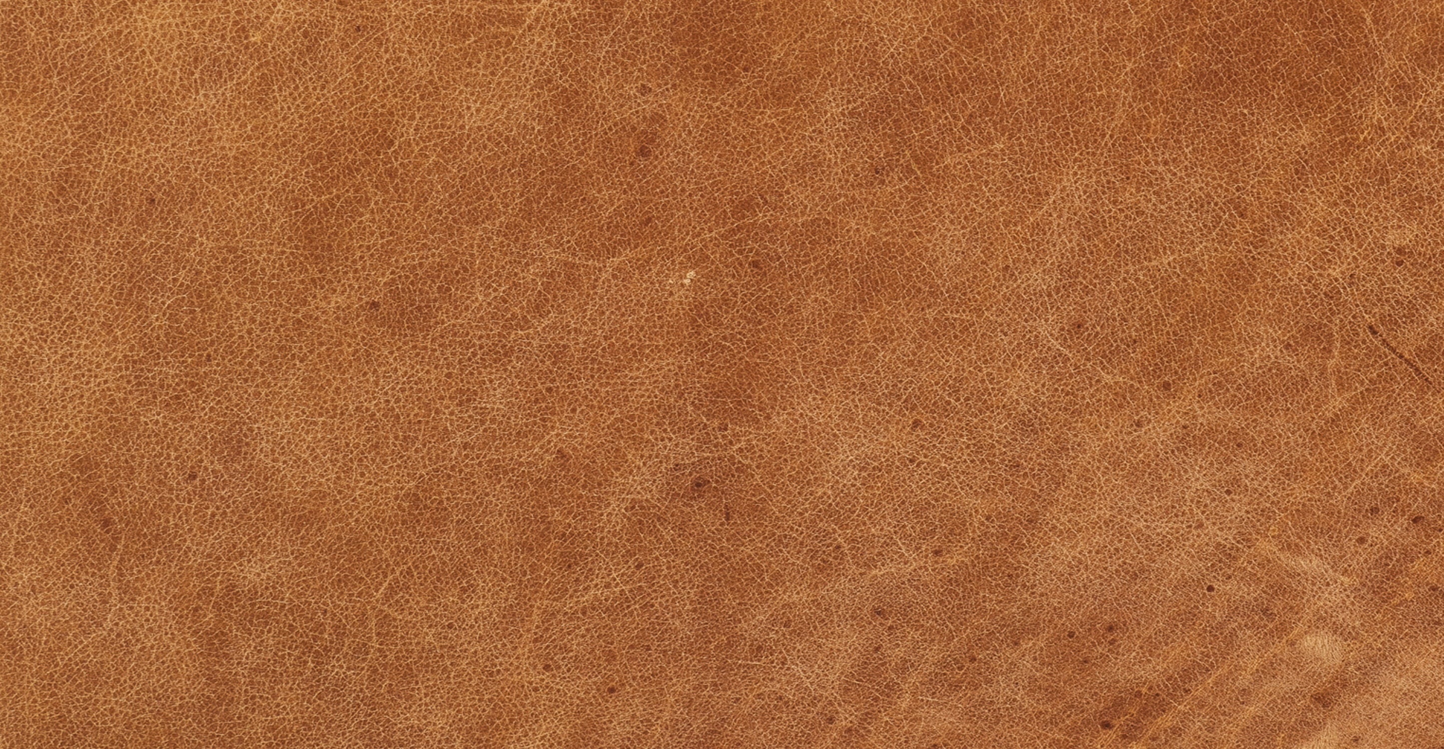 Napa 72" Apartment Sofa - Image 18
