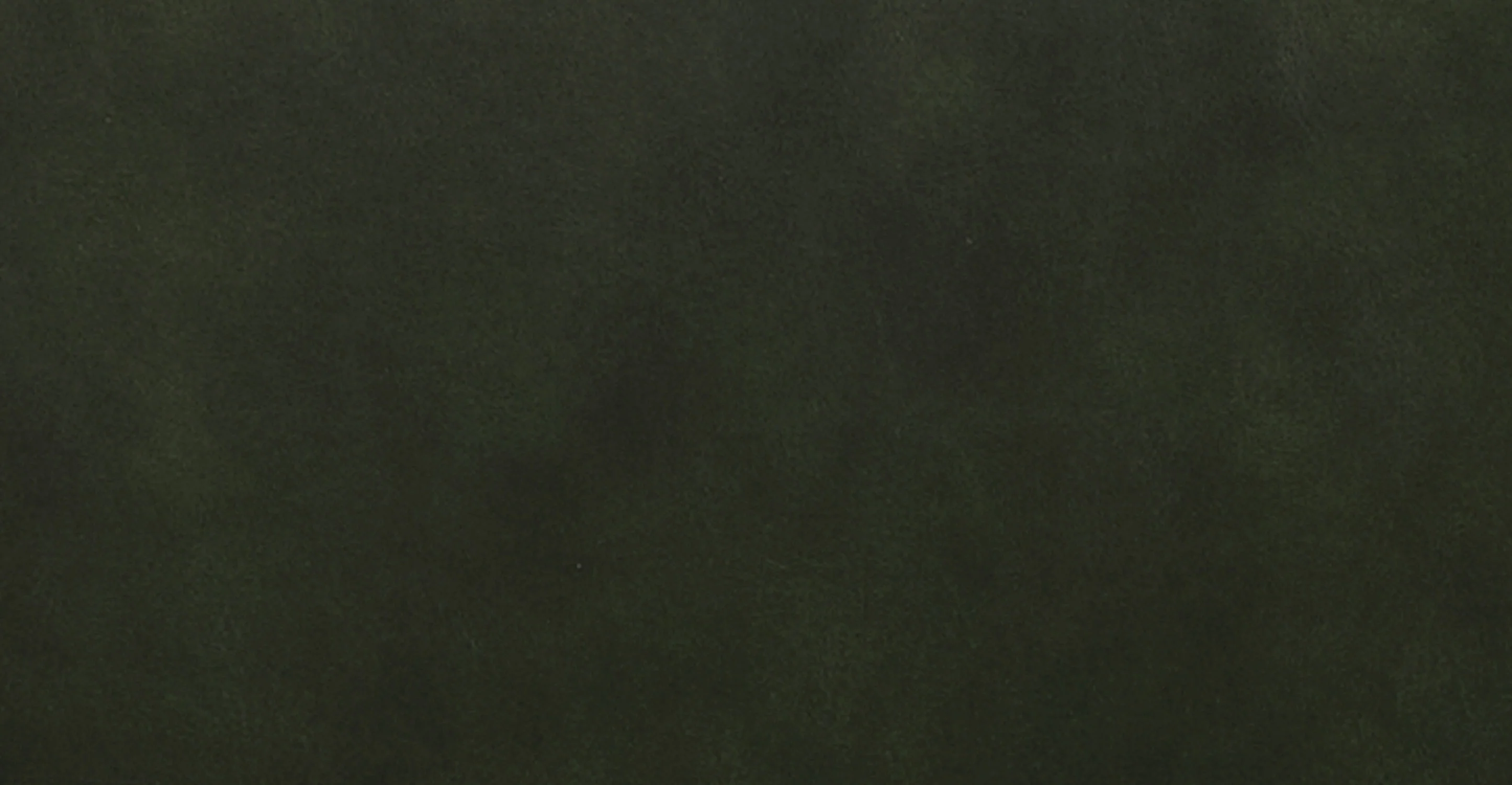 Oliva Leather Dining Chair - Image 26
