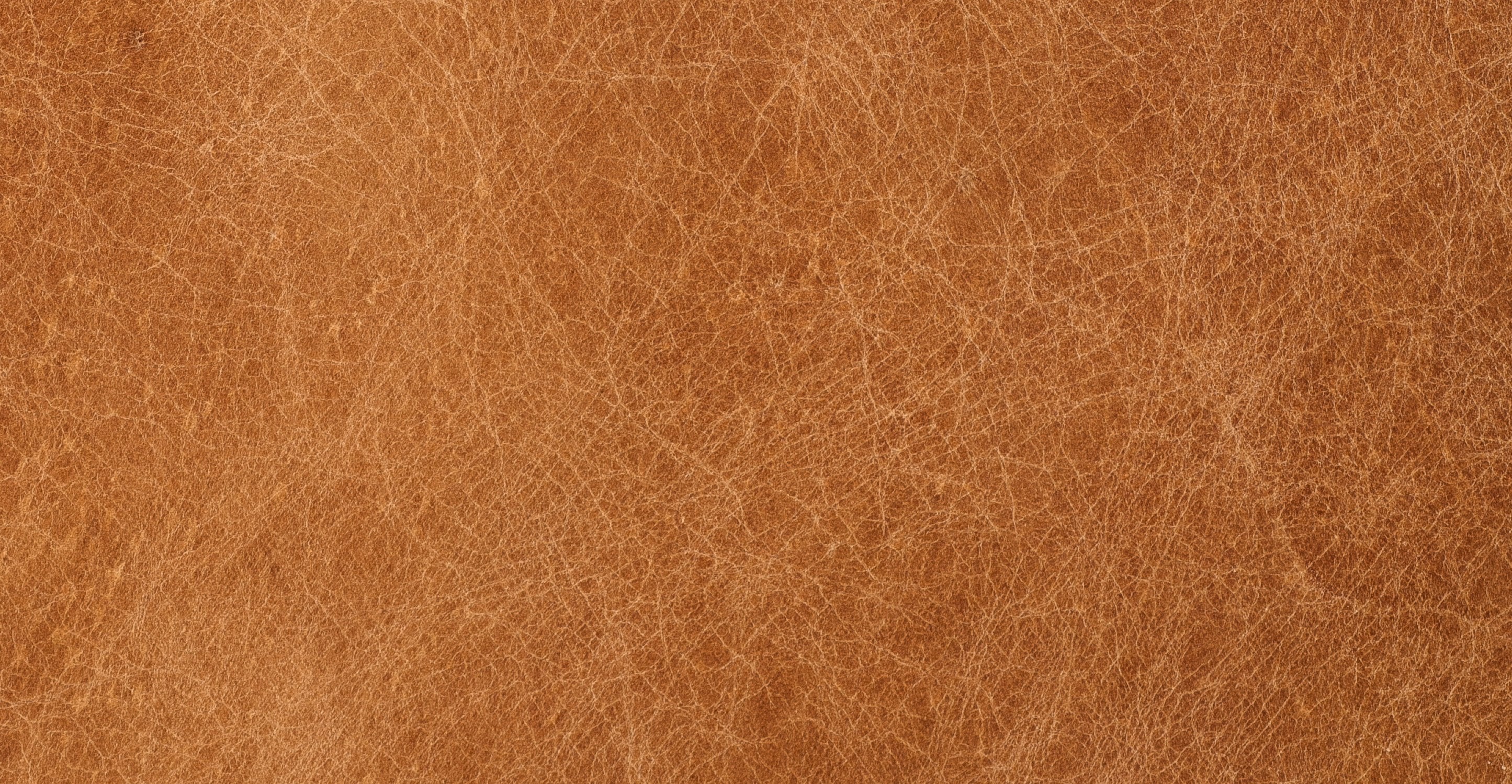 Rowan Lounge Chair - Image 14