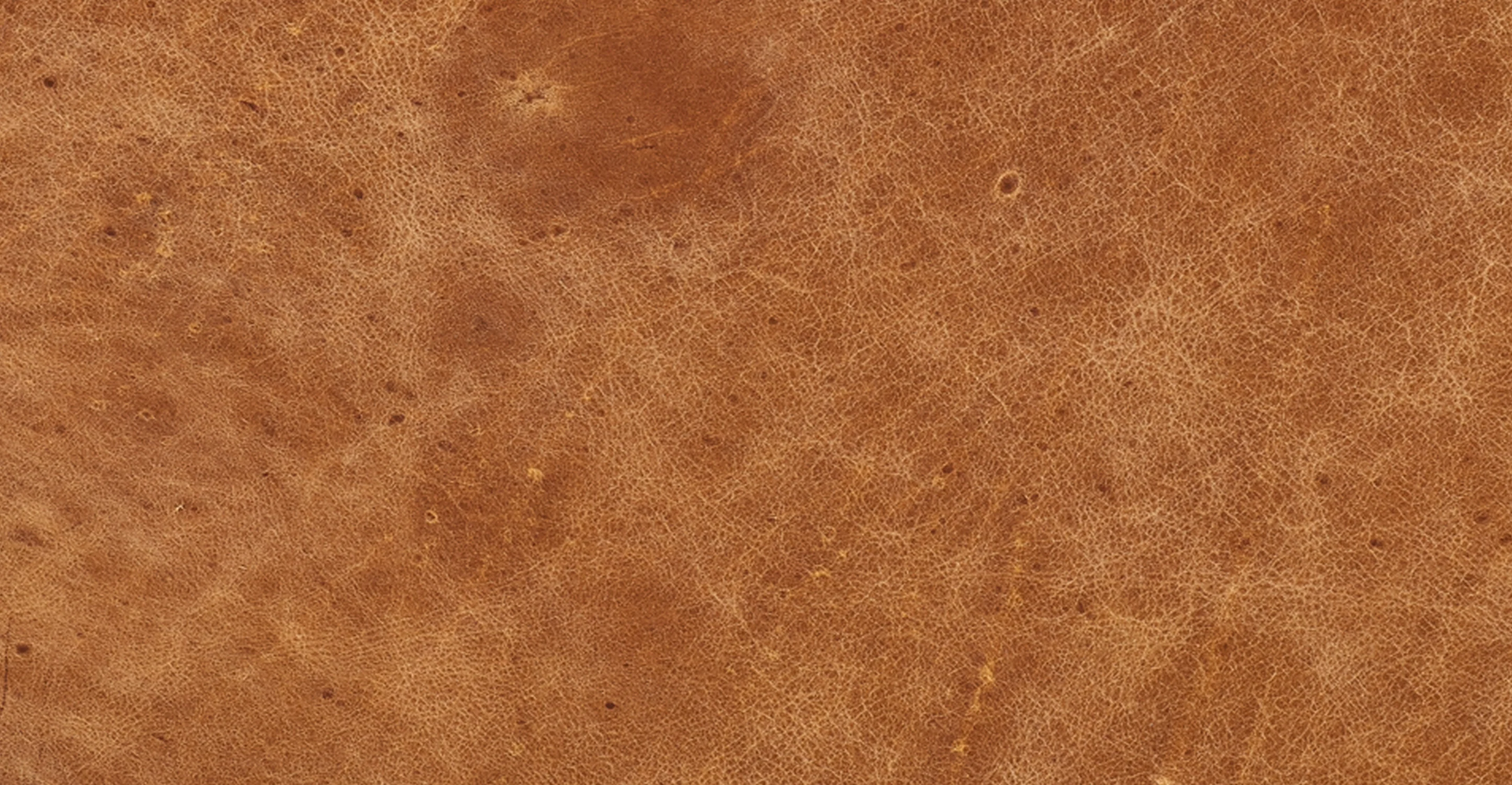 Senja Storage Ottoman - Image 18