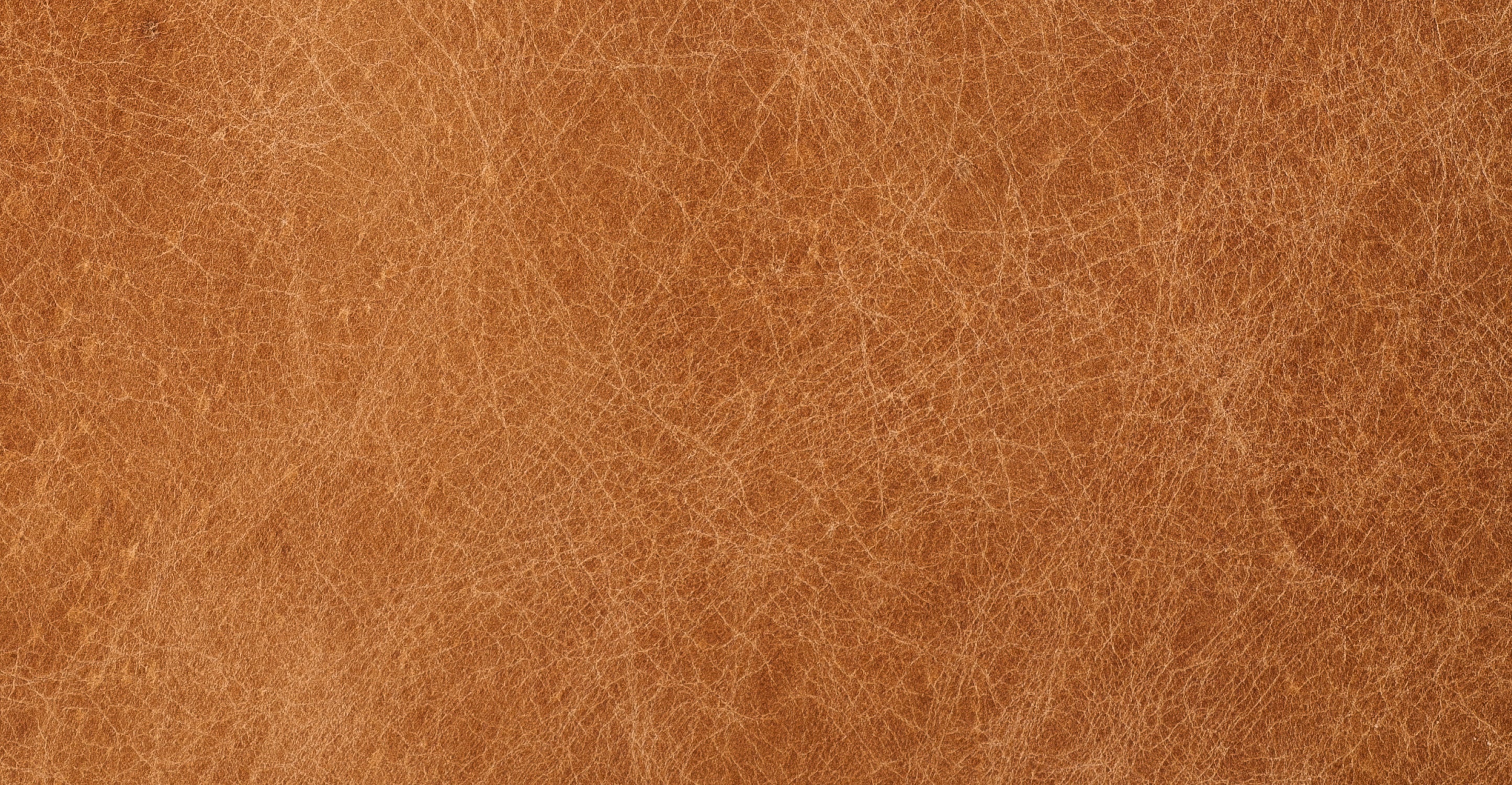 Skive Lounge Chair - Image 13