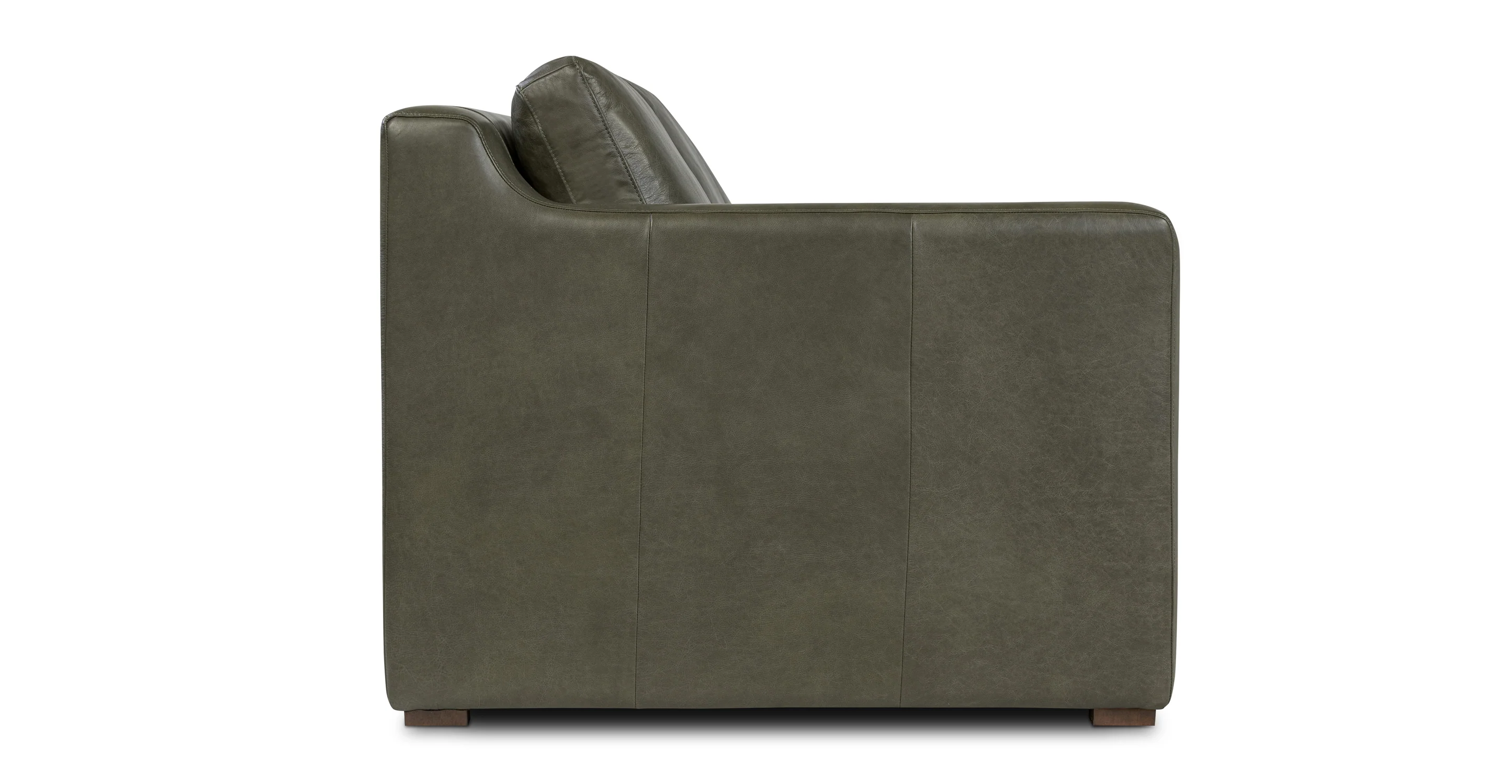 Sorrento Leather Pull-Out Convertible Sleeper Sofa - Image 28
