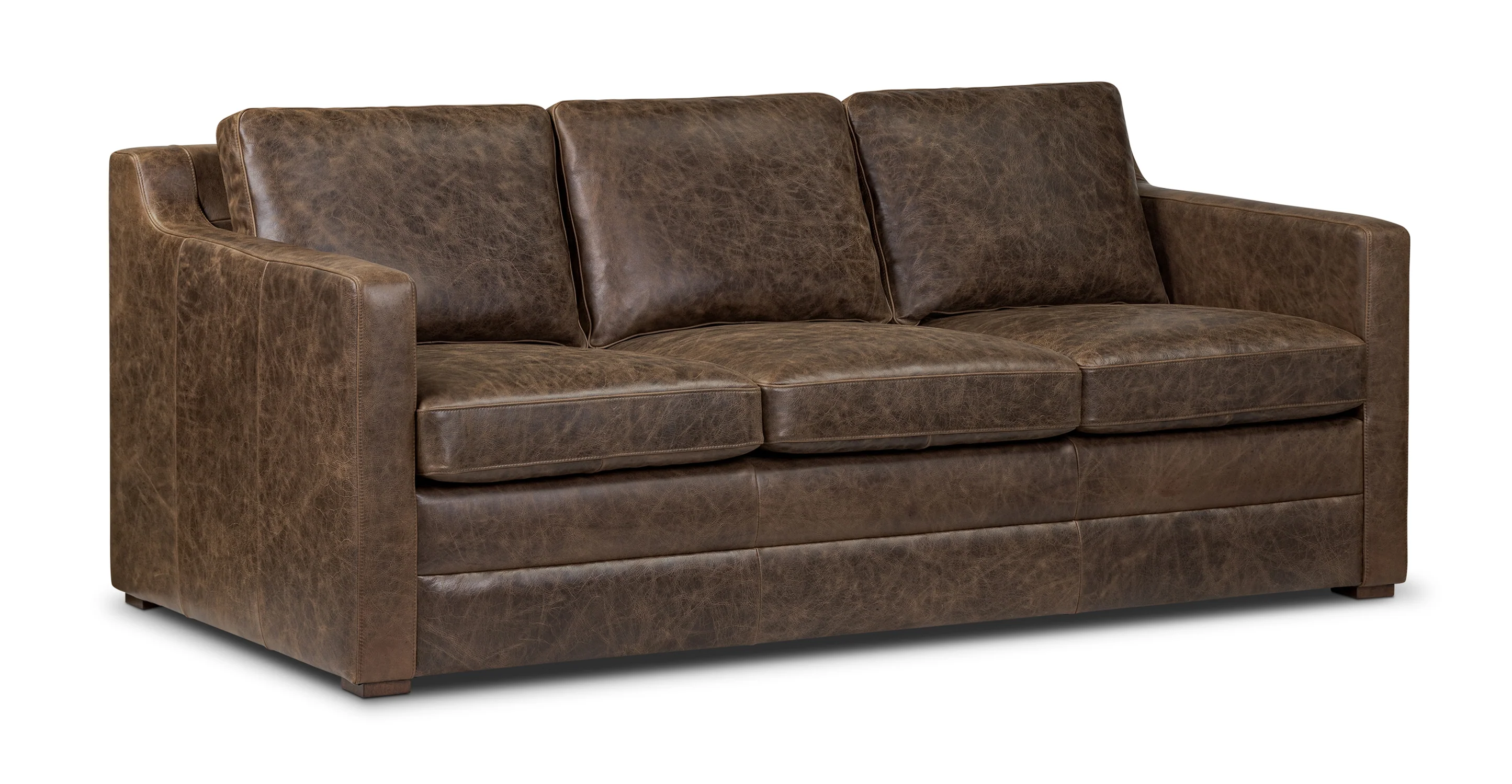 Sorrento Leather Pull-Out Convertible Sleeper Sofa - Image 37