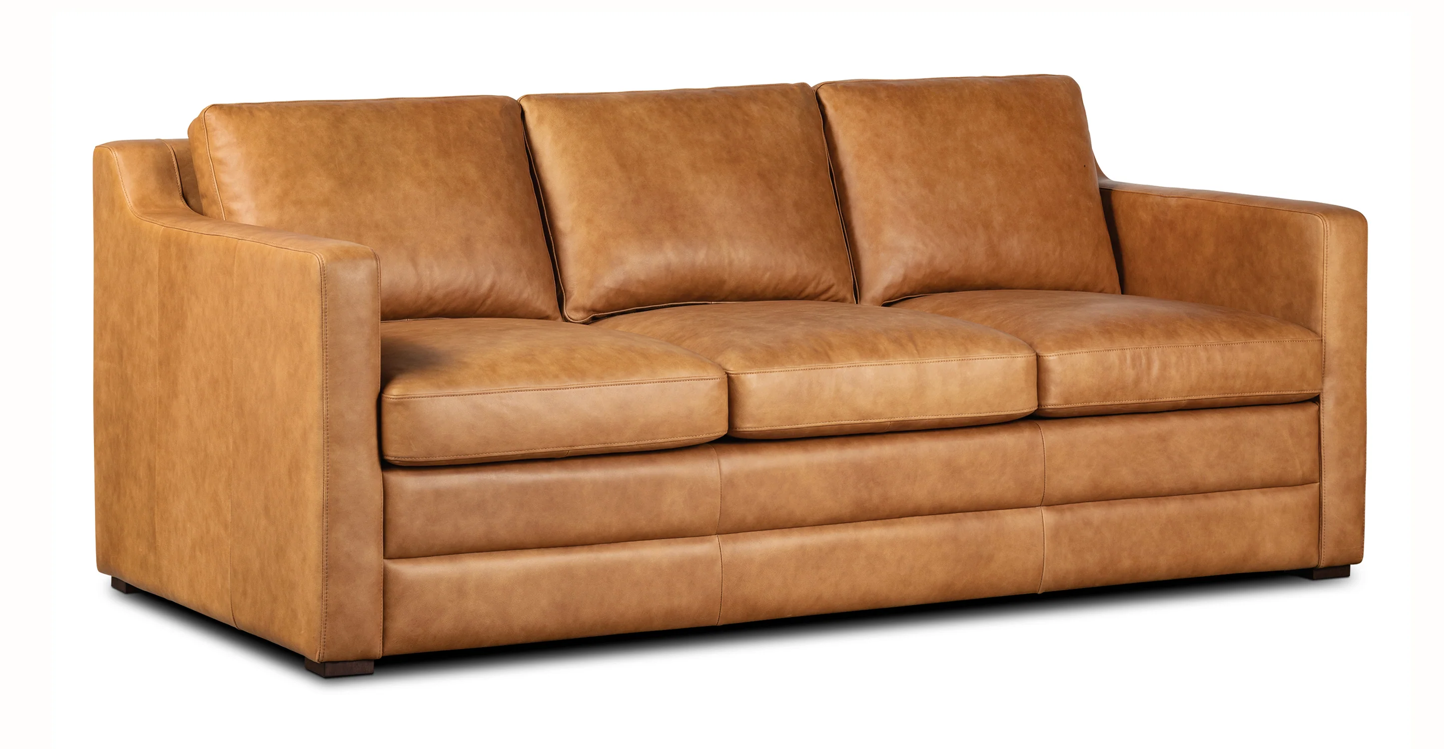 Sorrento Leather Pull-Out Convertible Sleeper Sofa - Image 5