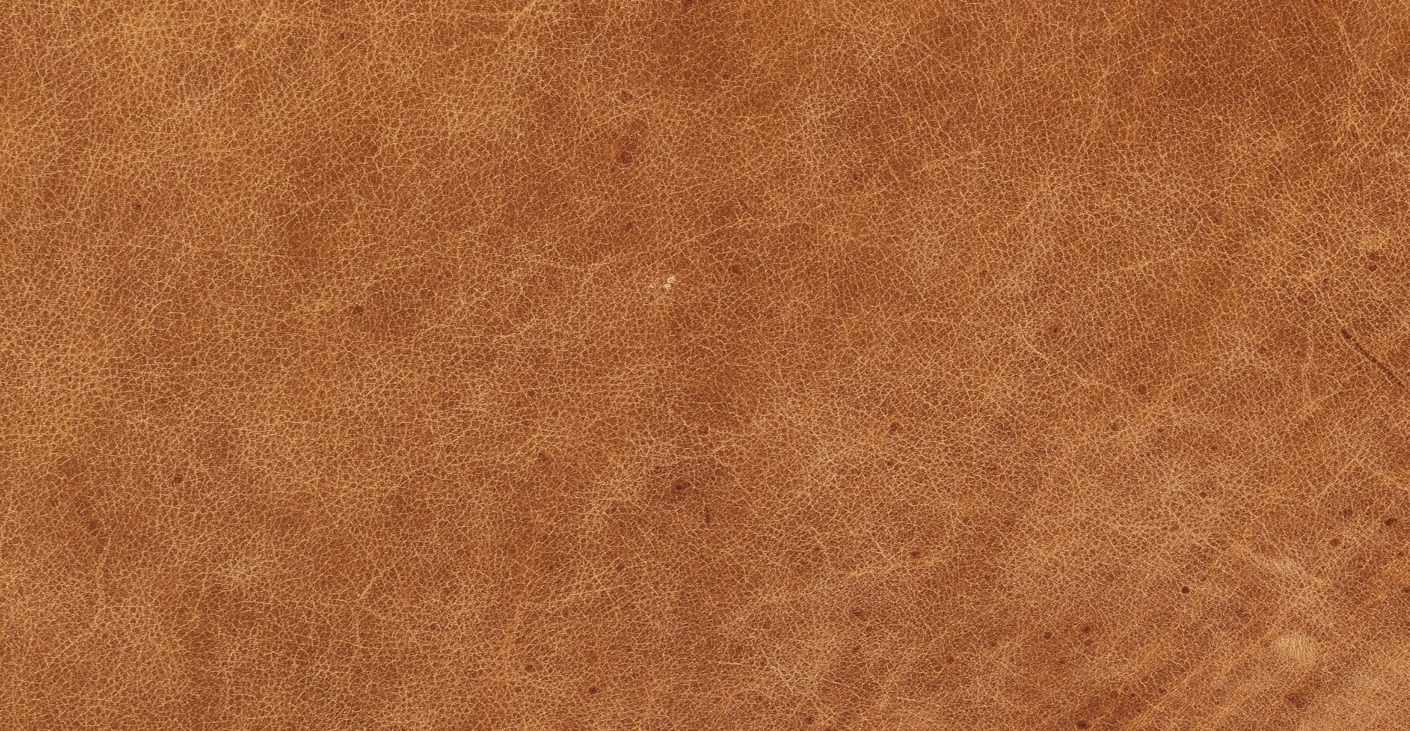 Toscano 89" Sofa - Image 19