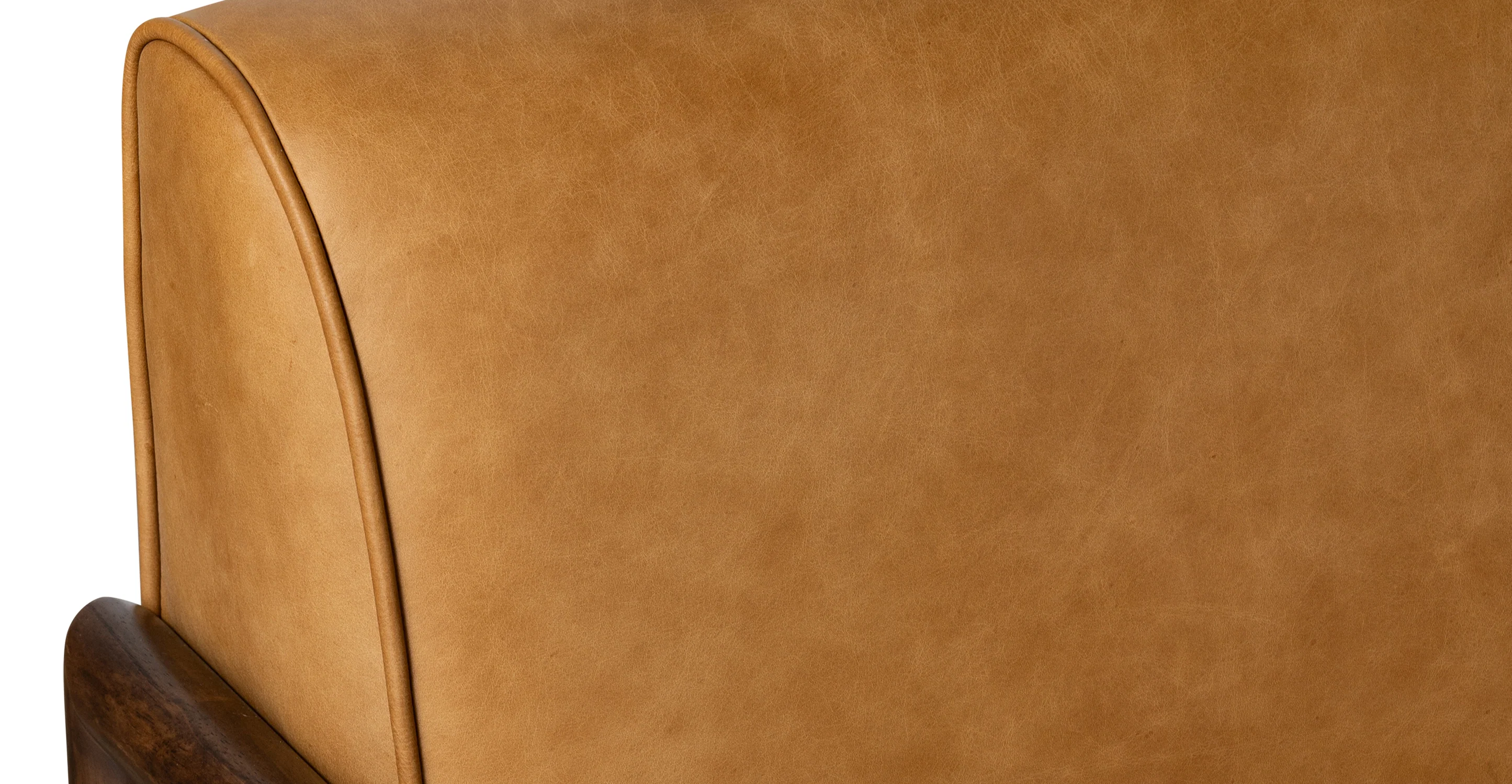 Viborg Lounge Chair - Image 10