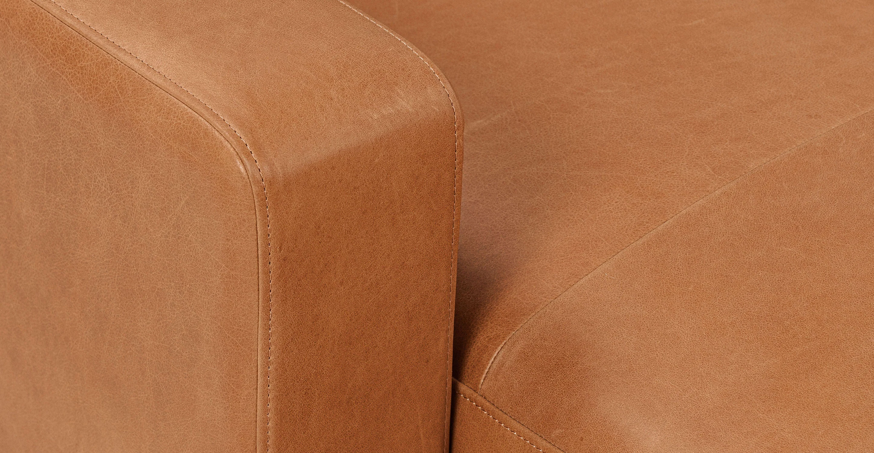 Zyon 105.5" Reversible Chaise Leather Sectional - Image 12