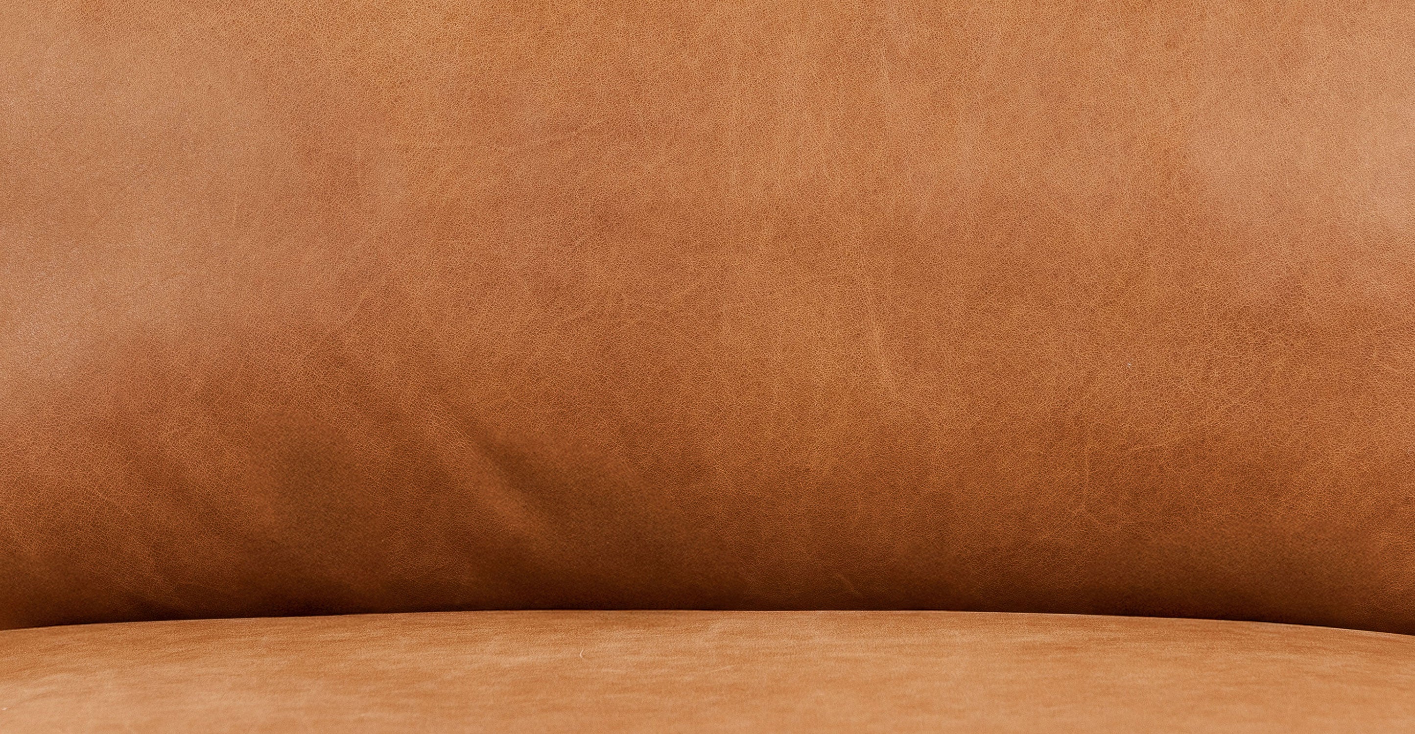 Zyon 105.5" Reversible Chaise Leather Sectional - Image 8